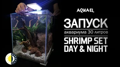 Аквариум Aquael Shrimp Set Smart 30 литров цена, купить Аквариум Aquael  Shrimp Set Smart 30 литров