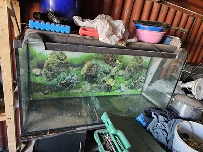 Купить кубический аквариум 70 литров стекло Оптивайт в Челябинске | Аквариум  нано-куб Аква Блюз