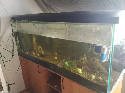 Растительный аквариум 400 литров с СО2 и УДО - YouTube