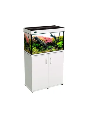 Акваскейп, аквариум больше 300 литров, оформление аквариума