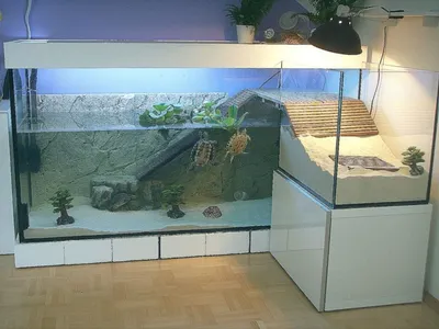 Изготовление аквариумов для черепах от компании \"Подводный мир\" по выгодным  ценам