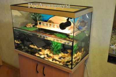 аквариум для красноухой черепахи - купить в Киеве