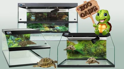 Аквариум, аквариум для рыб, аквариум для черепах, черепашник BARBUS  14060323 купить в интернет-магазине Wildberries
