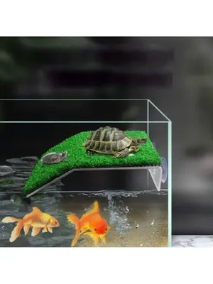 FlipperAqua - Террариум 80х45х40 для черепах #террариумы #террариум  #террариумназаказ #акватеррариум #черепахи #черепахи🐢 | Facebook