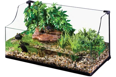 Аквариум Биодизайн Turt-House Aqua 85 – купить в магазине аквариумов  Акватория