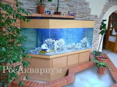 Купить аквариум 200 литров 1000*400*500 в интернет-магазине Livplanet.ru c  доставкой.
