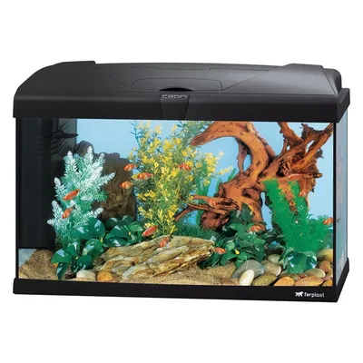 Панорамный аквариум Art-SV 60 литров