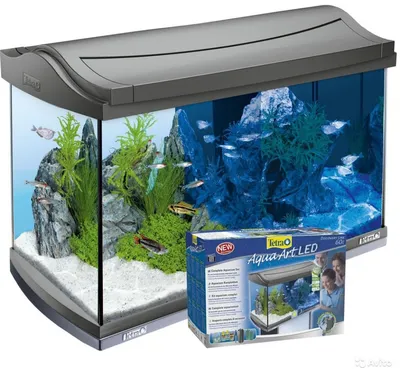 Прямоугольный аквариум Биодизайн Риф 60 (60 литров) купить в Москве по  выгодной цене - Aquaterra