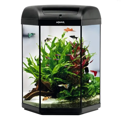 Аквариум Tetra AquaArt LED Tropical (60л): цена, фото, размеры – купить в  интернет-магазине Акватандем