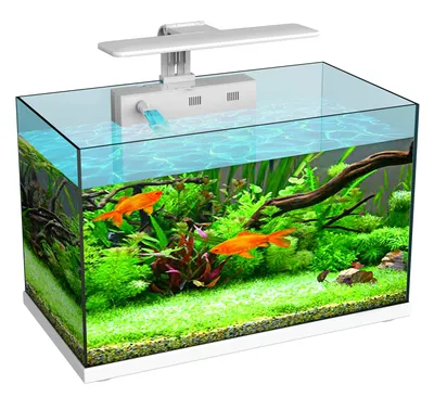 Купить аквариум с крышкой-LED, 60 литров (Бук)