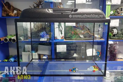 Морской аквариум на 60 литров AMTRA панорамный купить в Украине