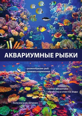 Подходящие виды аквариумных рыбок для начинающих - Зоомагазин MasterZoo