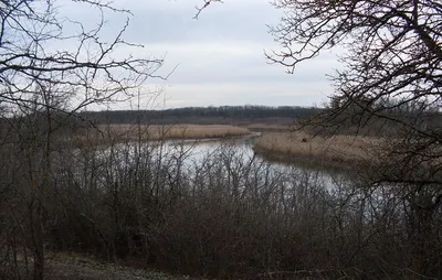 Александровский лес, осень 2014 года.