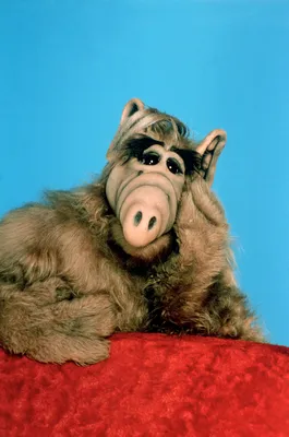 What Was Alf? The Adorable Fuzzy Alien Explained | SYFY WIRE
