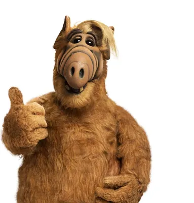 Michu Meszaros dies: Alf actor dead at 76 | The Independent | The  Independent