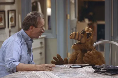TV with Thinus: Alf has died; the diminutive actor Michu Meszaros who  played the orange alien Gordon Shumway from Melmac has died, aged 76.