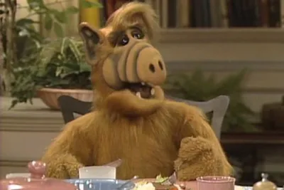 ALF: The Complete Series [Deluxe Edition] + Poster + Prism Sticker + Tabby  Vinyl + Enamel Pins + Lunch Box + Melmac Rock | Shout! Factory