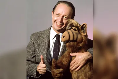 ALF: The Complete Series [Deluxe Edition] + Poster + Prism Sticker + Tabby  Vinyl + Enamel Pins + Lunch Box + Melmac Rock | Shout! Factory