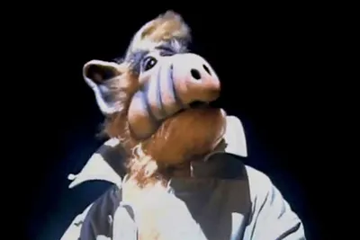 13 furry, out-of-this-world facts about 'ALF'