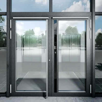 Белая алюминиевая дверь GFTD697 купить в Петрозаводске – характеристики,  цены и отзывы