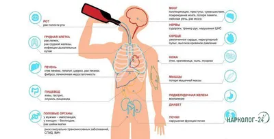 Аллергия на алкоголь | Пикабу