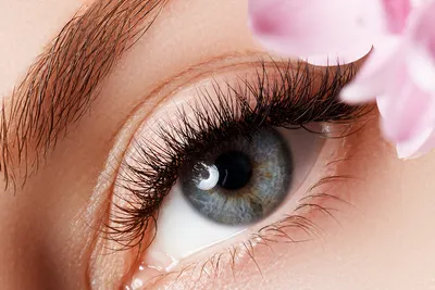 Аллергия глаз: причины, симптомы, виды и особенности лечения
