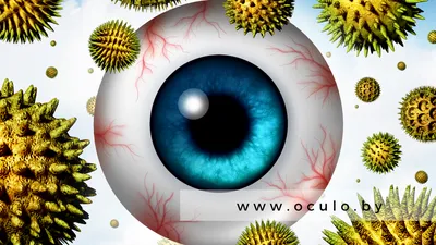 Аллергия под глазами — 3 ответов | форум Babyblog