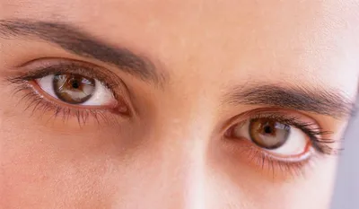 О каких болезнях расскажут мешки под глазами | Академия врачей UNIPROF |  Дзен