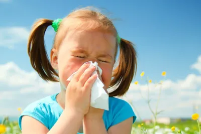 В Румынии предлагают ввести закон против растения-аллергена