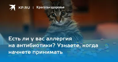 Как проявляется аллергия на антибиотики у ребенка? | Записки Невролога |  Дзен