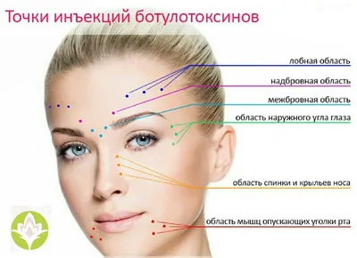 Фулфейс ботоксом: комплексное омоложение без операции - Косметология  доктора Корчагиной