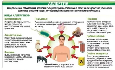 Не позволяйте аллергии одолеть вас этой весной - StarMed Healthcare