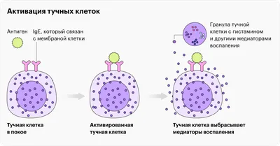 Аллергия на воду: бывает ли, как выглядит, что делать | РБК Life