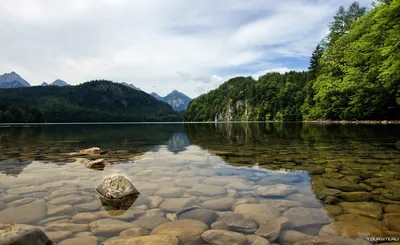 Может Быть Аллергия На Морскую Воду – Telegraph