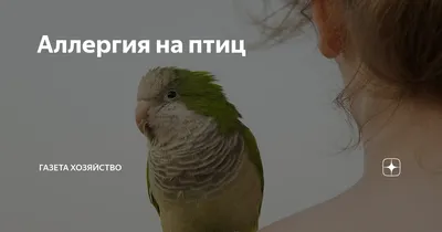Симптомы аллергии на волнистых попугаев: как проявляется