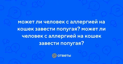 Аллергия на попугая: признаки, симптомы, лечение