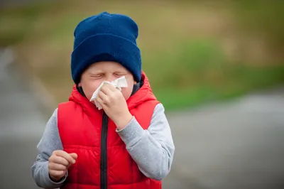 Аллергия на сладкое у взрослых: симптомы, как избавиться | РБК Life
