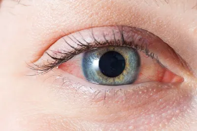 Купить 1 пара косметических контактных линз для кожи вокруг глаз Natural  Look Soft Color Beauty Eye Cosmetic | Joom
