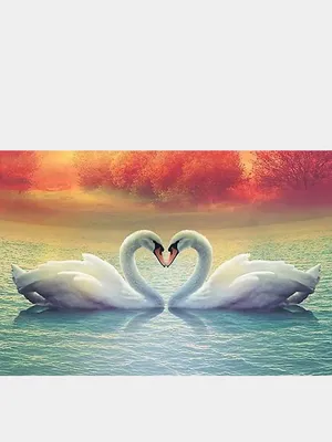 Алмазная мозаика \"Лебеди на закате\" 40х60 см без подрамника купить по цене  2326 ₽ в интернет-магазине KazanExpress