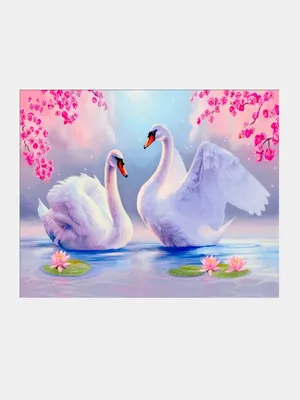 Картина по номерам с алмазной мозаикой без подрамника «Лебедь» 30х40 см в  Сургуте – купить по низкой цене в интернет-магазине Леруа Мерлен