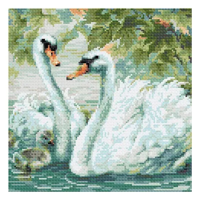 Алмазная мозаика Риолис, картина стразами Белые лебеди, 30*30 см, AM0036 -  купить с доставкой по выгодным ценам в интернет-магазине OZON (170667522)
