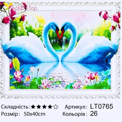 Алмазная мозаика и картина по номерам 2 в 1 Лебеди (40х50 см) (CY2321).  Купить недорого в lolo.com.ua. ✓ Описание, ✓ Отзывы, ✓ Характеристики