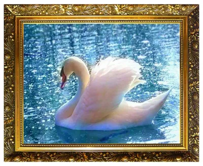 Алмазная мозаика лебеди фото 81 фото