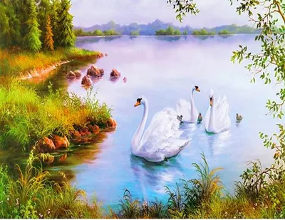 Купить Алмазная мозаика картина стразами Девушка на озере с лебедями, 30х40  см :: Подарки и хобби :: Интернет-магазин :: Markethot
