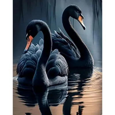 Купить КДИ-0707 - Набор в технике алмазная вышивка триптих Пара прекрасных  лебедей | Мамино лукошко