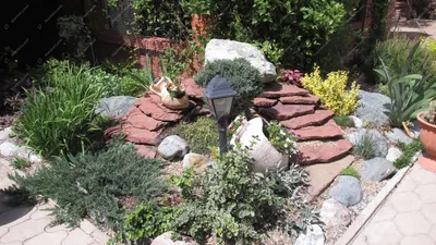 Альпийские горки с водоемом - обустройство и строительство в саду