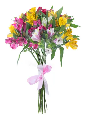 Купить Альстромерия желтая в Нижнекамске - «Цветы»