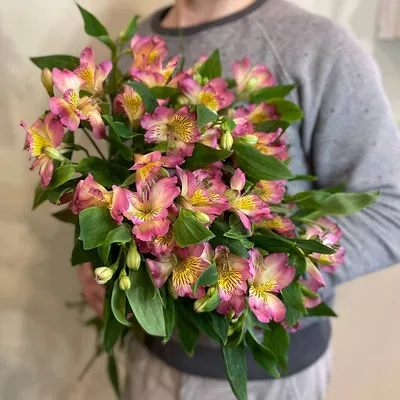 Желтые и оранжевые цветы Alstroemeria Стоковое Фото - изображение  насчитывающей ботаническую, цветок: 178367458