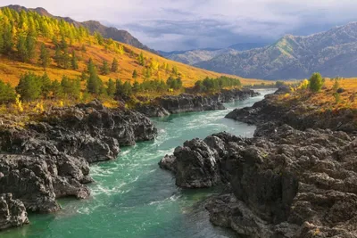 Река Катунь, осень в горах Алтая Фото: Олег Ивастов – Это Сибирь!