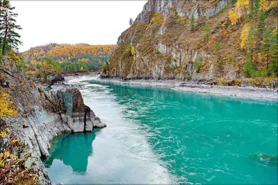Берега Алтая (3 дня + авиа) - Экскурсионные туры на Алтай